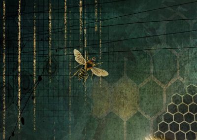 bee
